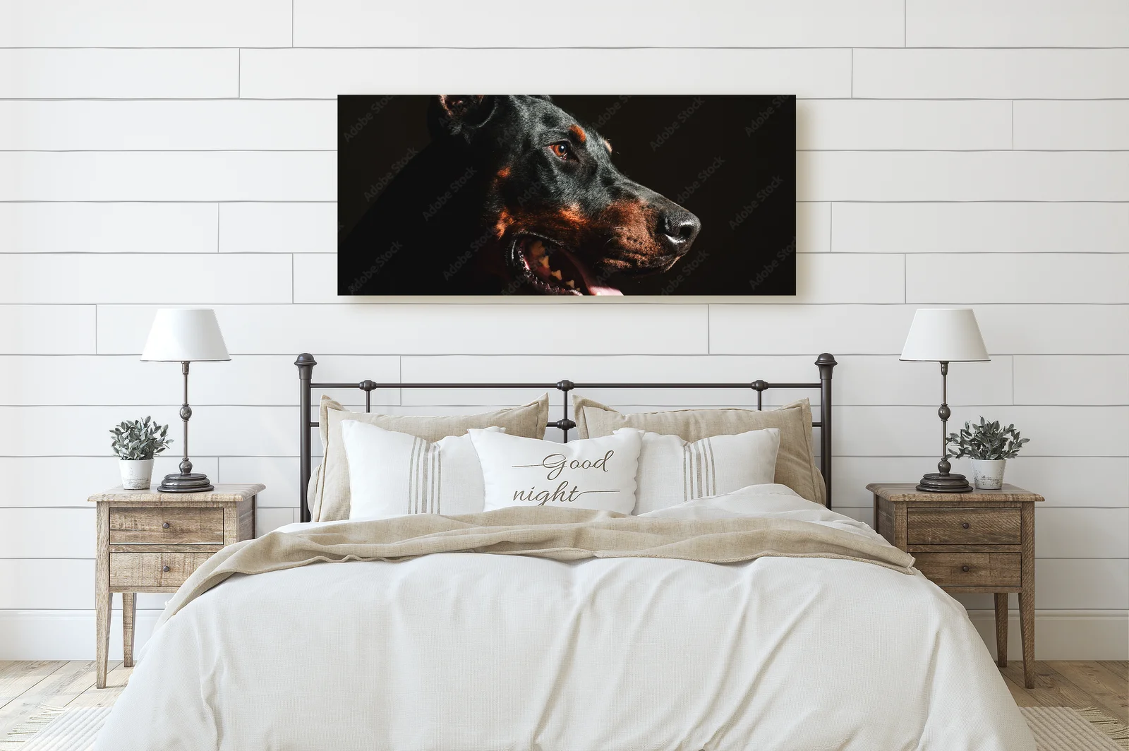 Wspaniale czarne oblicze dobermana w blasku reflektorów