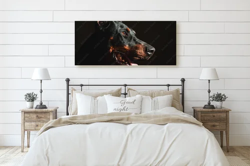 Wspaniale czarne oblicze dobermana w blasku reflektorów