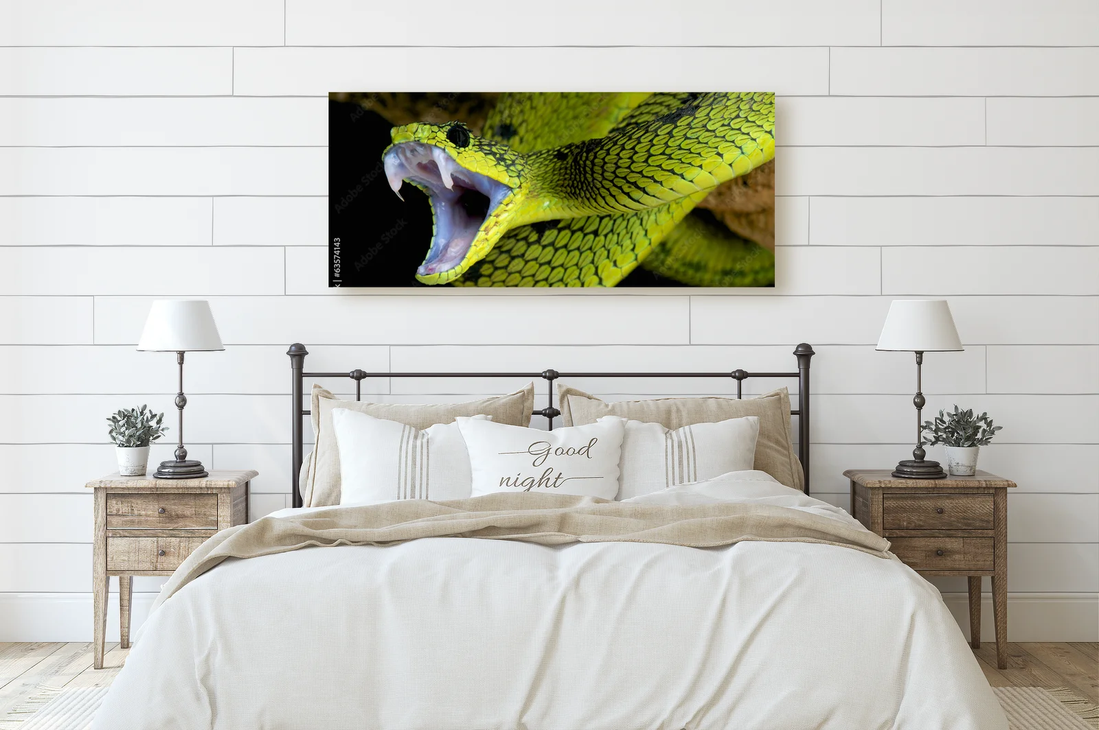 Wielka gra w tropikach: Atakujący wąż Atheris