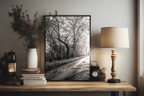 Magia leśnej drogi w monochromatycznych tonach