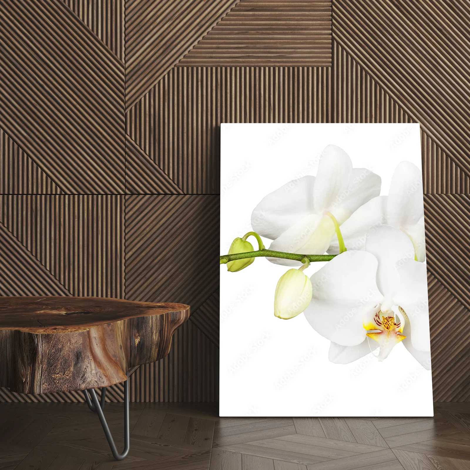 Cudowna biel orchidei na tle natury