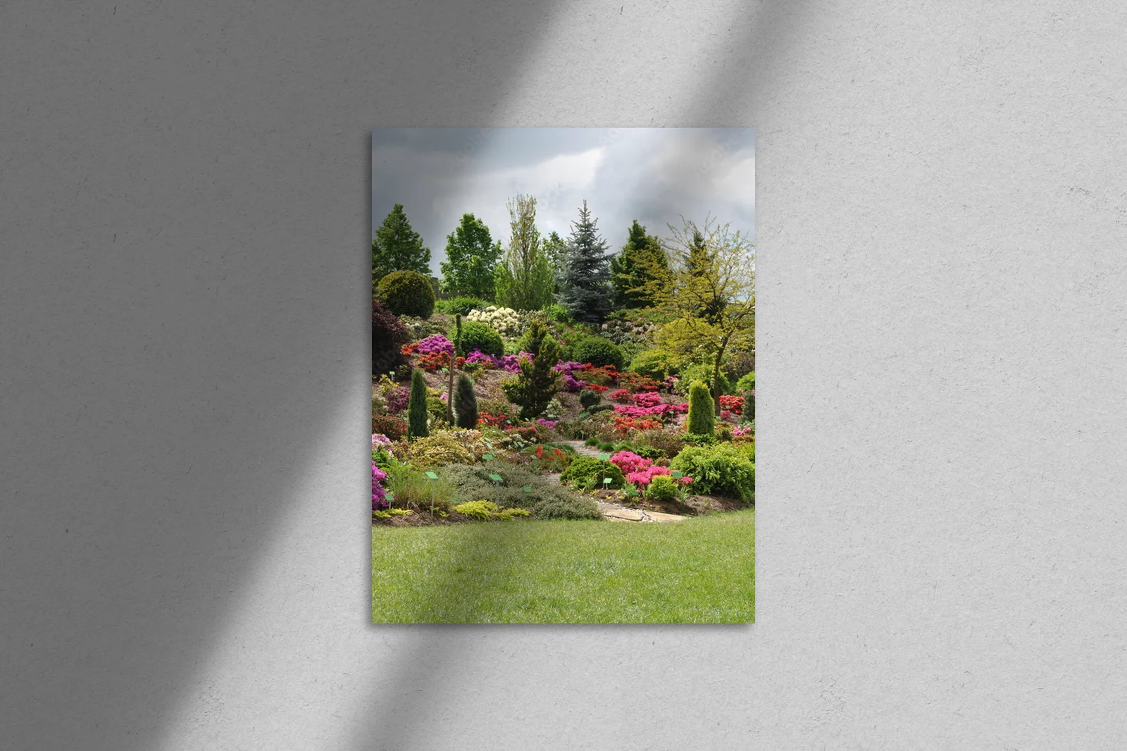 Kwiatowe marzenie: Rododendrony w pastelowych odcieniach