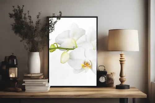 Cudowna biel orchidei na tle natury
