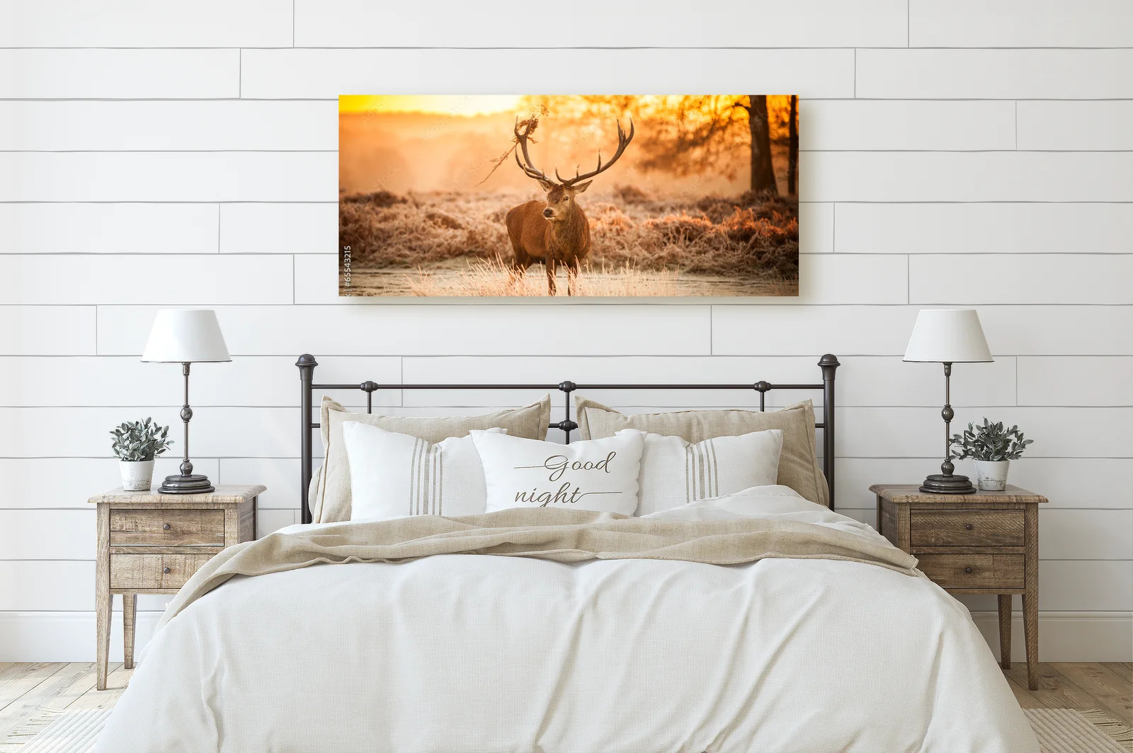 Deer w blasku porannego słońca