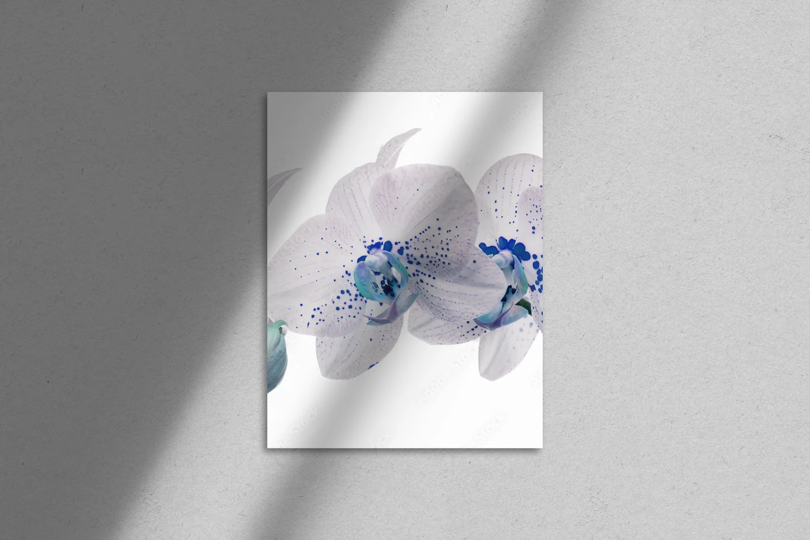 Orchidea w elektrycznych odcieniach błękitu