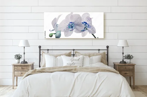 Orchidea w elektrycznych odcieniach błękitu
