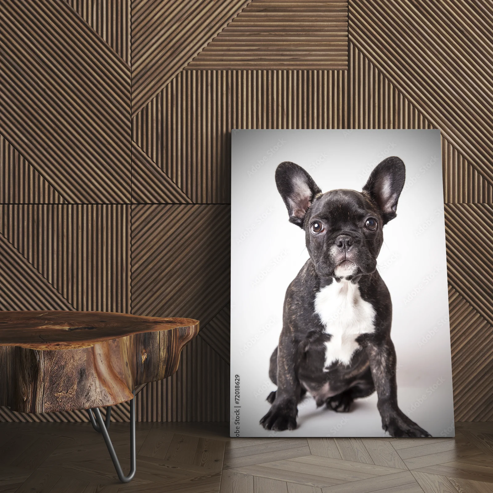 Uroczy portret szczeniaka buldoga francuskiego