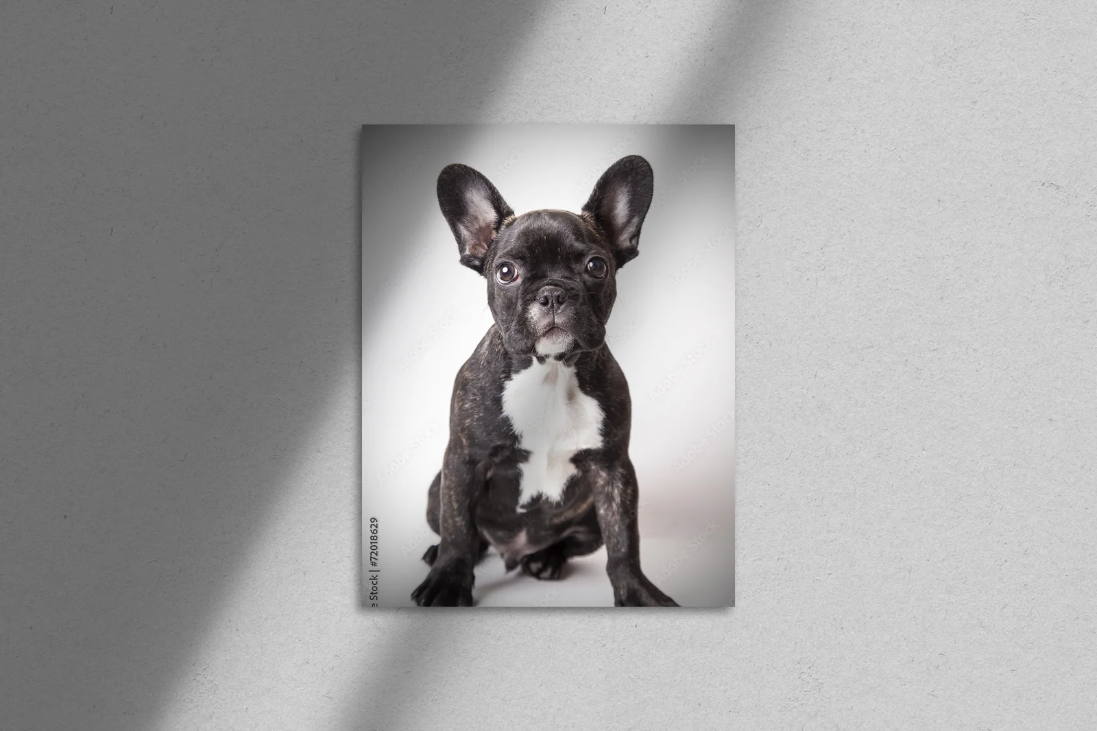 Uroczy portret szczeniaka buldoga francuskiego