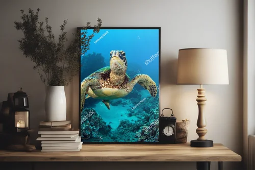 Wulkaniczne wody Galapagos z żółwiem morskich