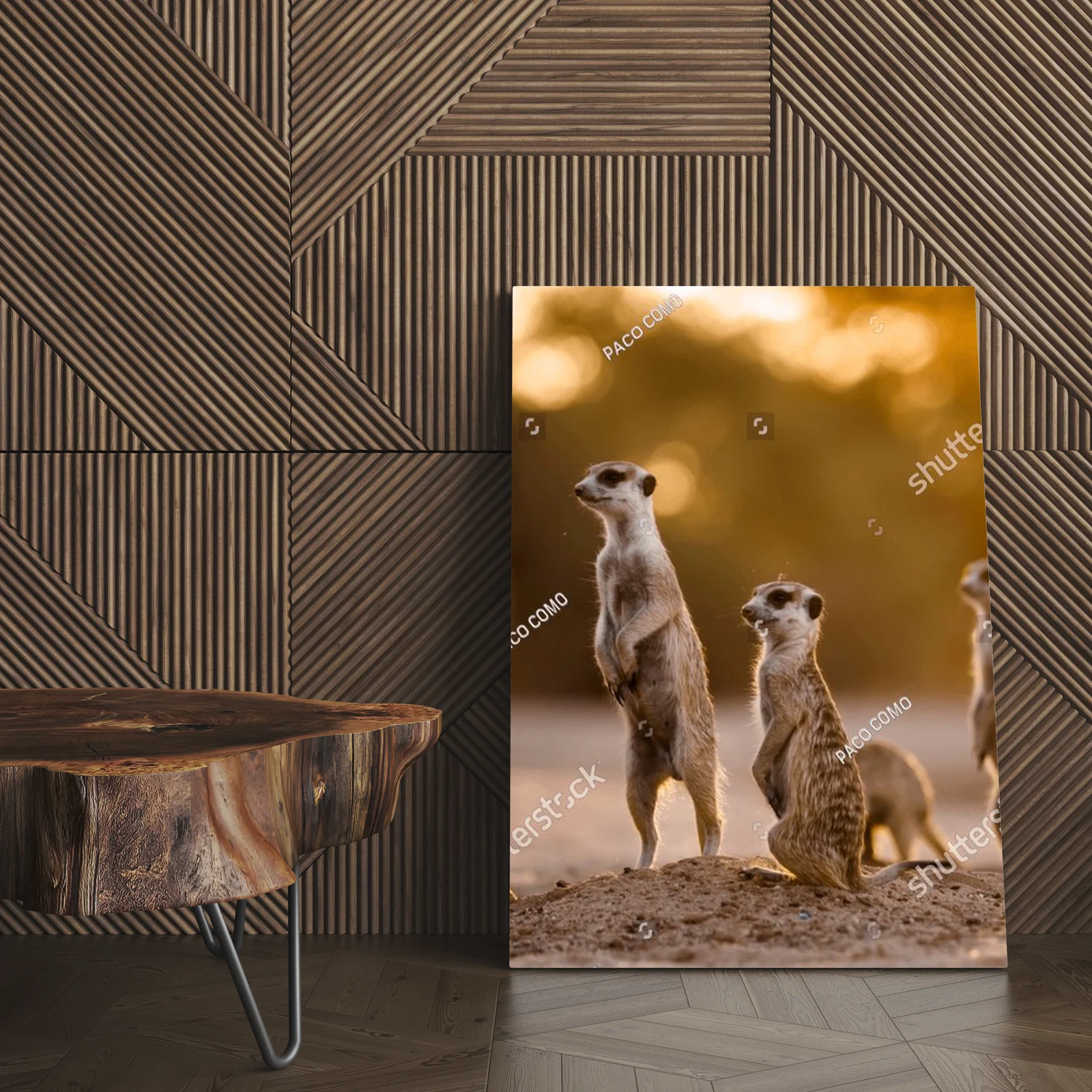 Urokliwy poranek z surykatkami w Kgalagadi