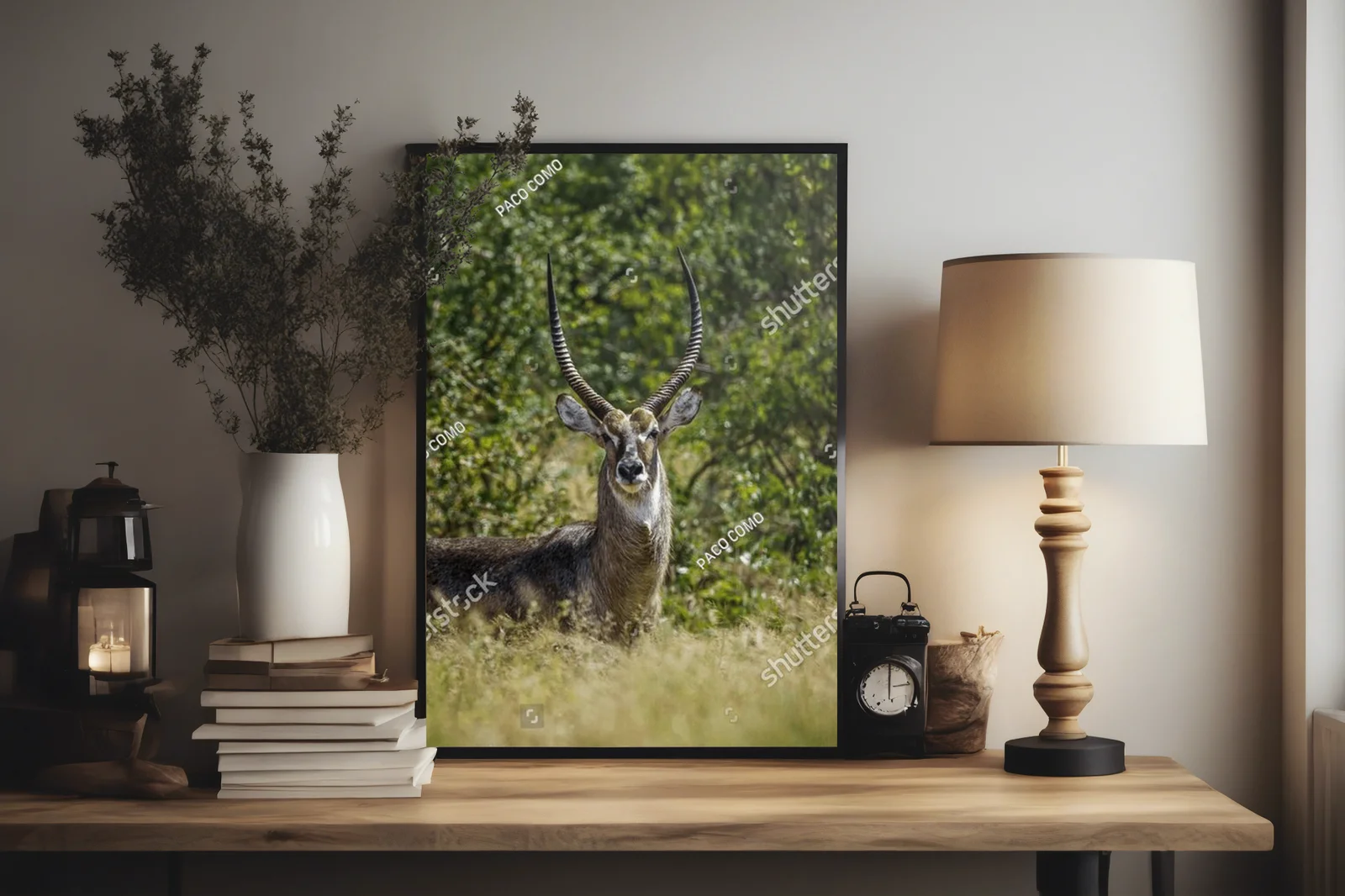 Urokliwe wody sawanny: Common Waterbuck w Krugerze