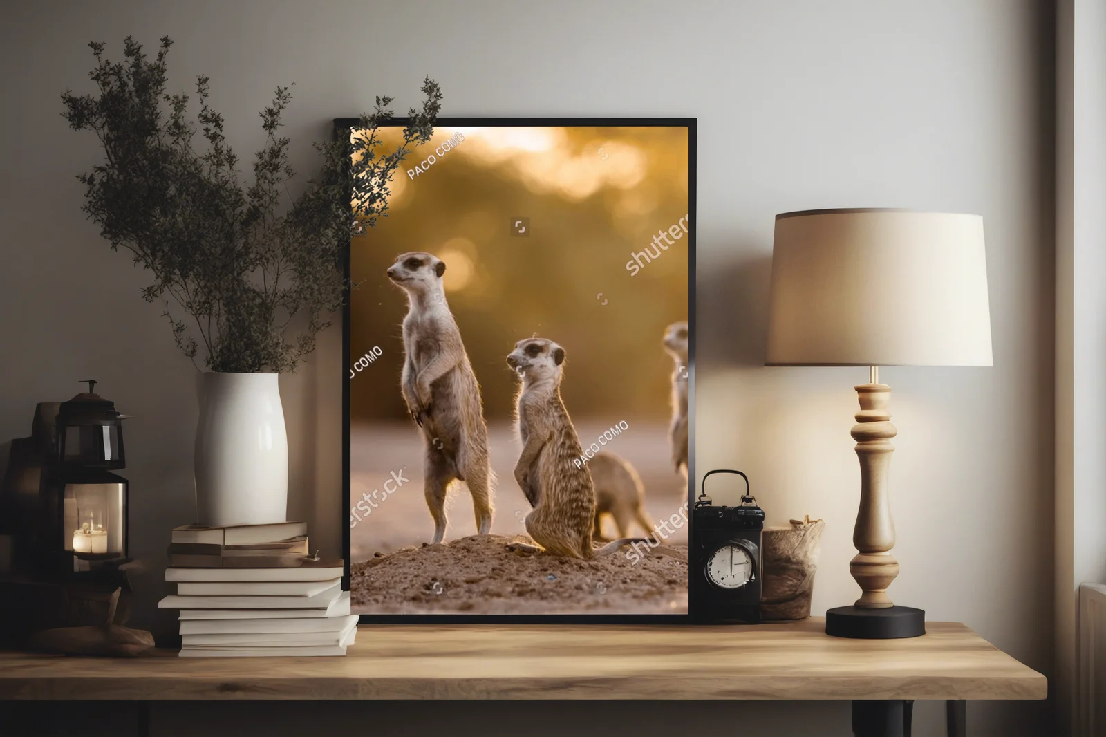 Urokliwy poranek z surykatkami w Kgalagadi