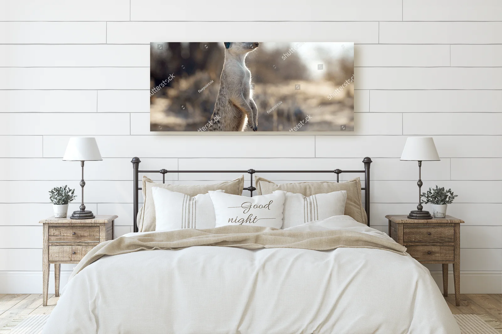Urokliwe meerkaty w panoramie Kalahari