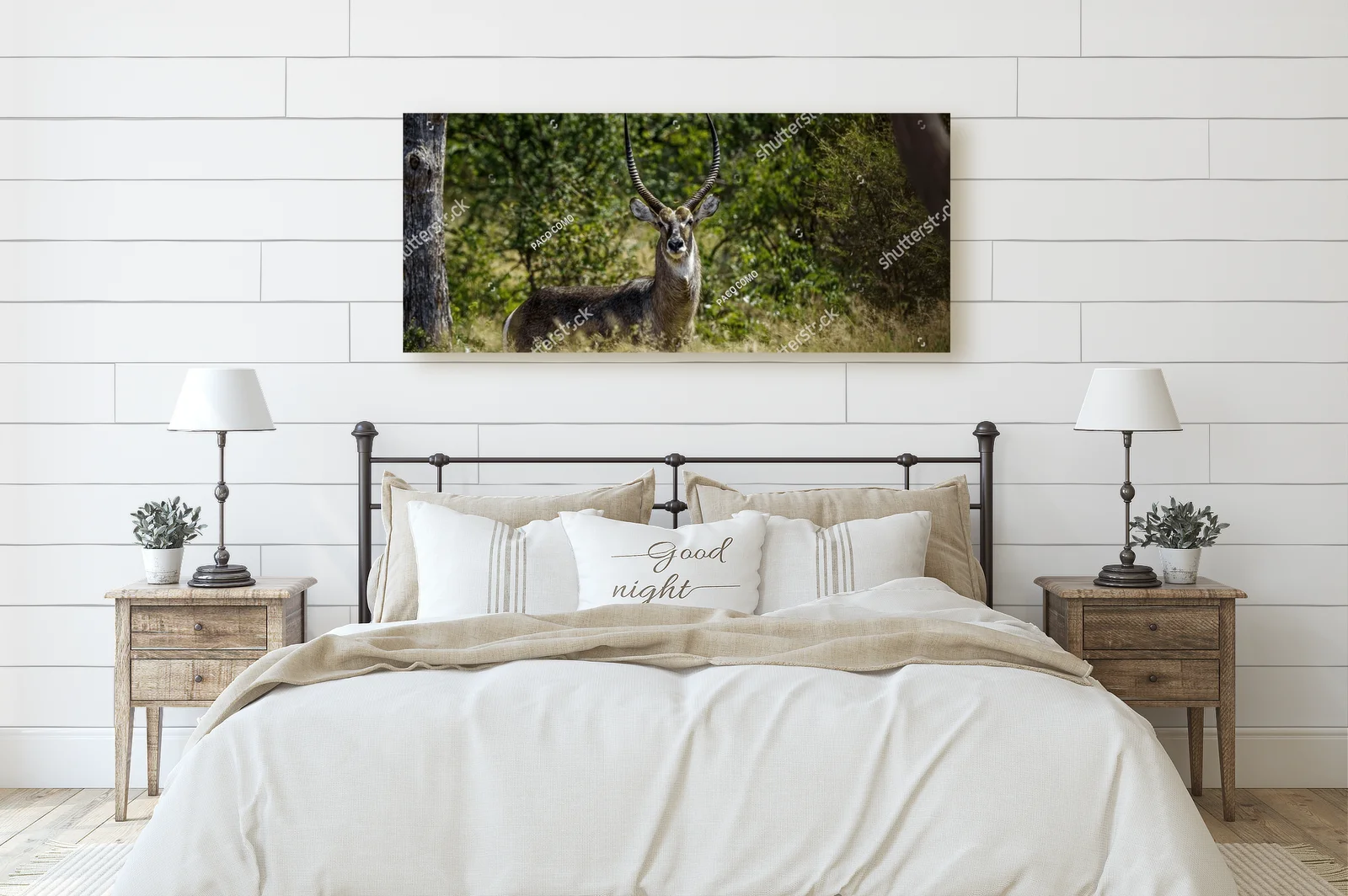 Urokliwe wody sawanny: Common Waterbuck w Krugerze