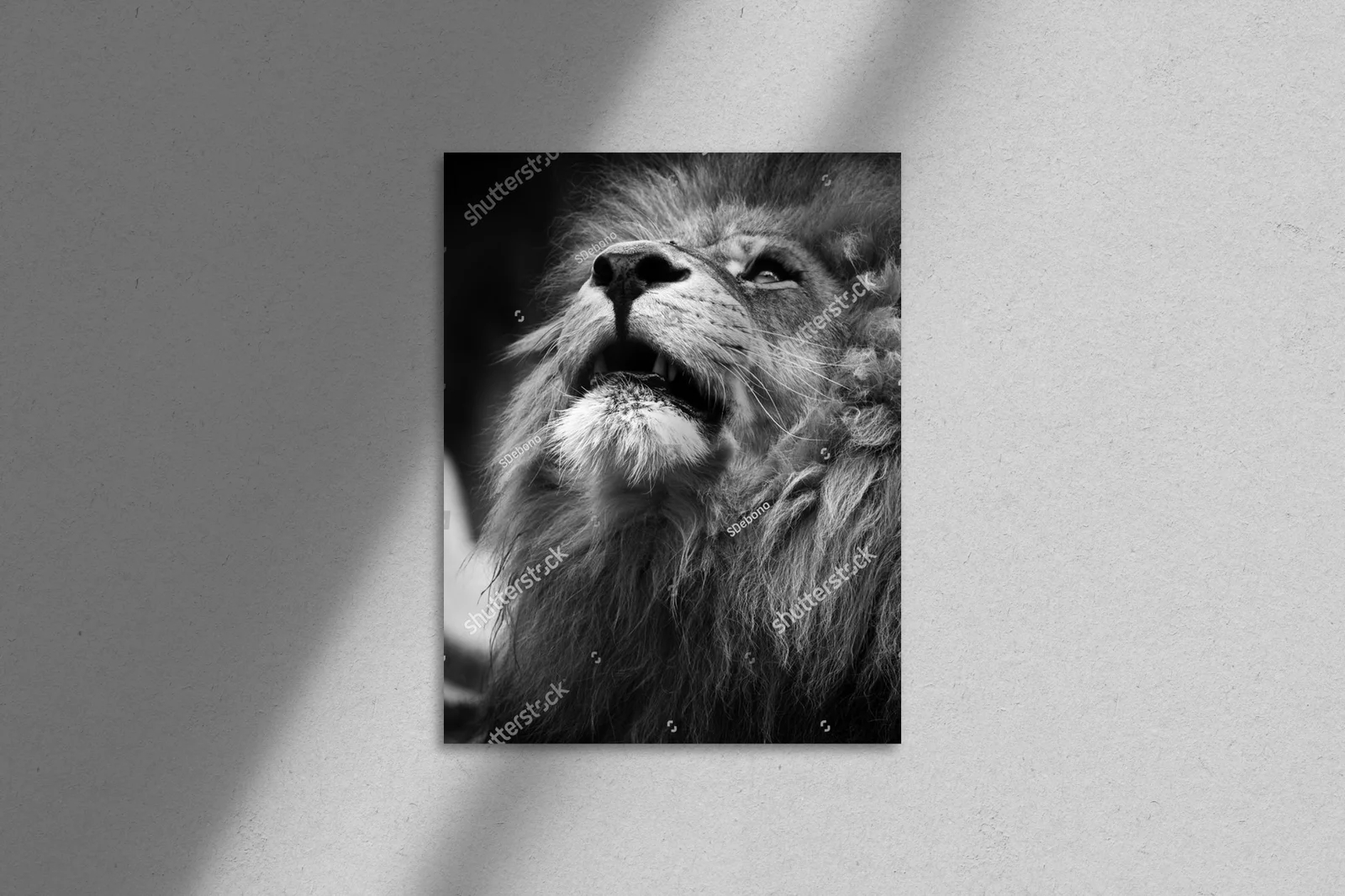 Zjawiskowy portret lwa w monochromatycznej tonacji