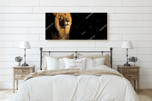 Wspaniały portret majestatycznego lwa afrykańskiego