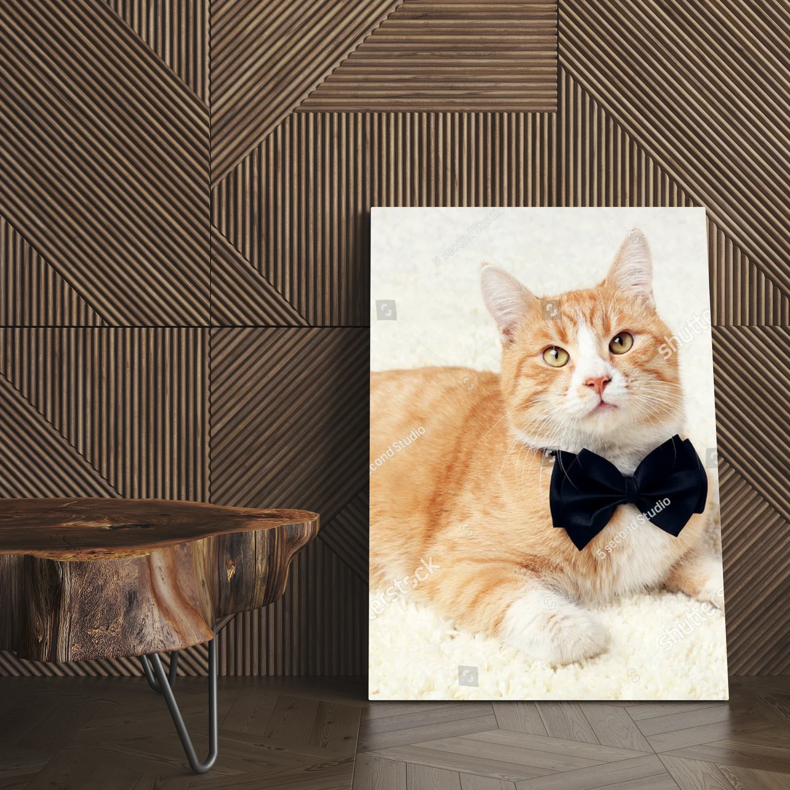 Gingerowy kot z czarną muszką na beżowym tle