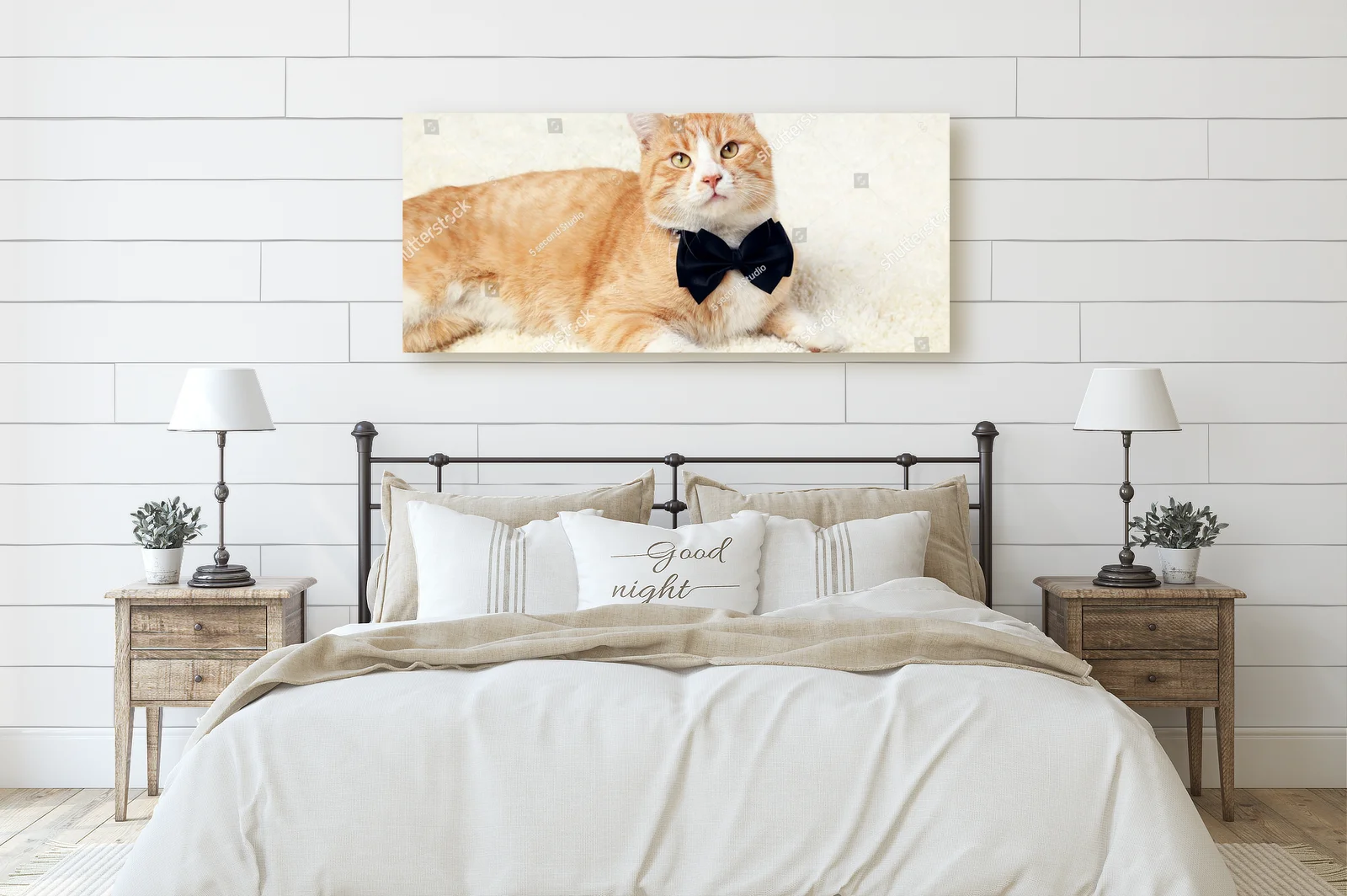 Gingerowy kot z czarną muszką na beżowym tle