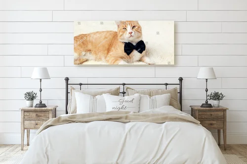 Gingerowy kot z czarną muszką na beżowym tle