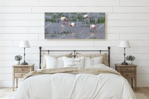 Elegancja różowych flamingów w andaluzyjskich lagunach