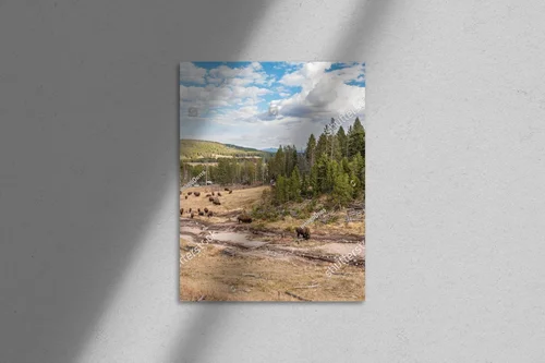 Buławy w blasku Yellowstone: Harmonia z naturą