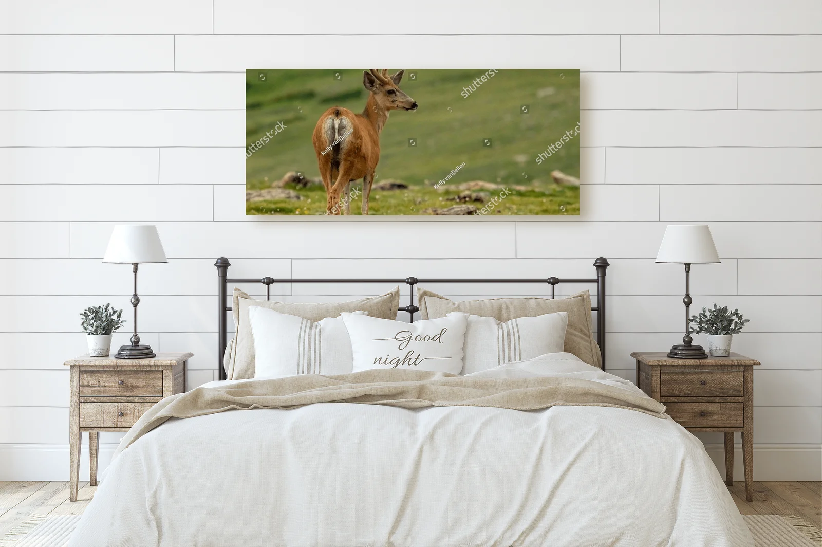 Mule Deer na tle malowniczych gór w Colorado