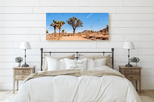 Sceniczne krajobrazy pustyni w Joshua Tree