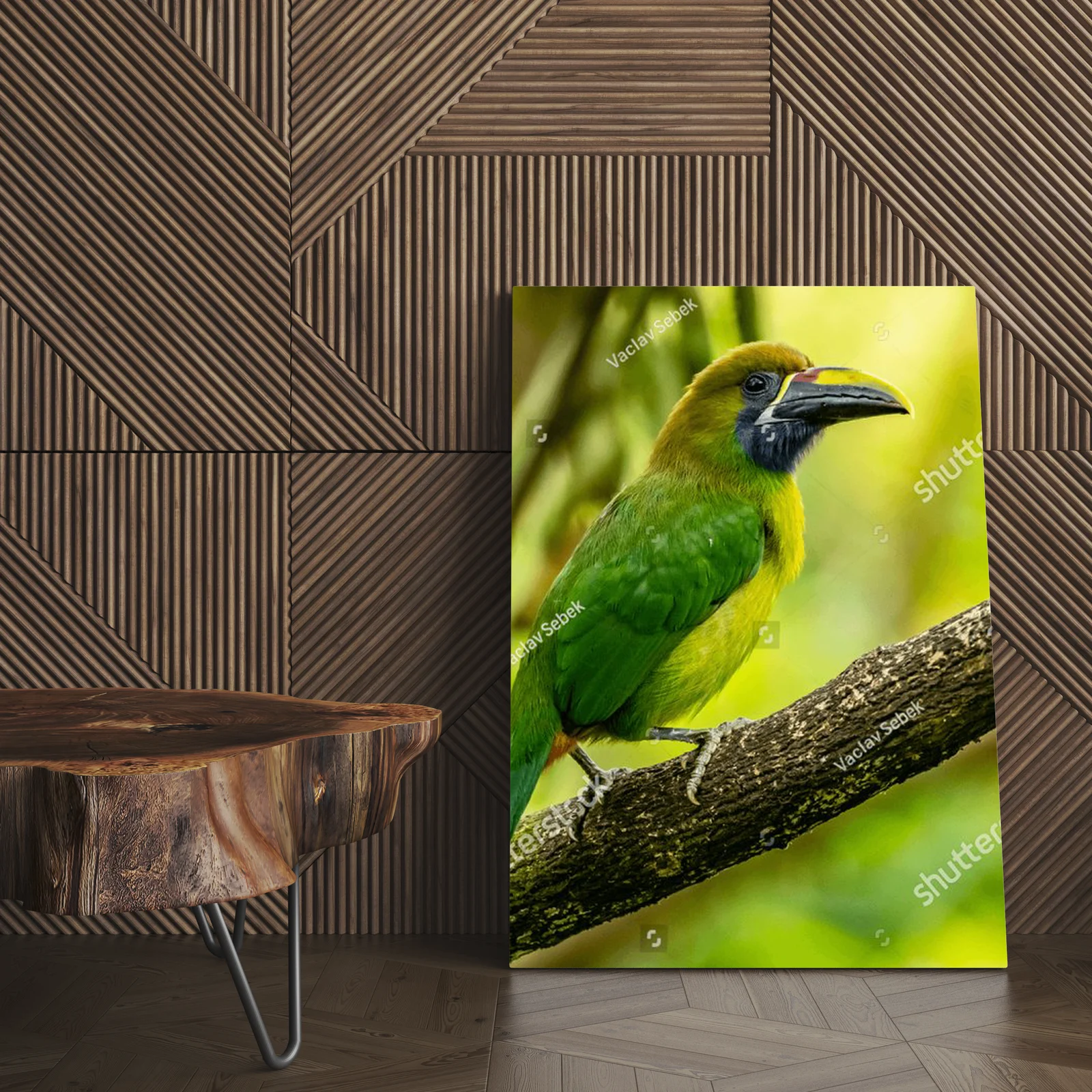 Tropical Adventure: The Crimson-rumped Toucanet