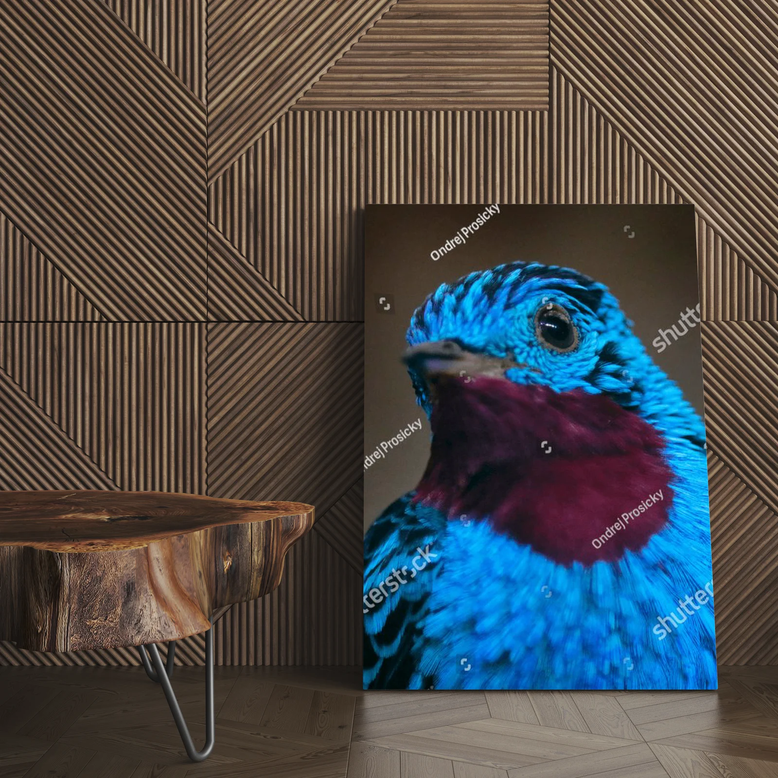 Tropikalna elegancja Cotinga w leśnej harmonii