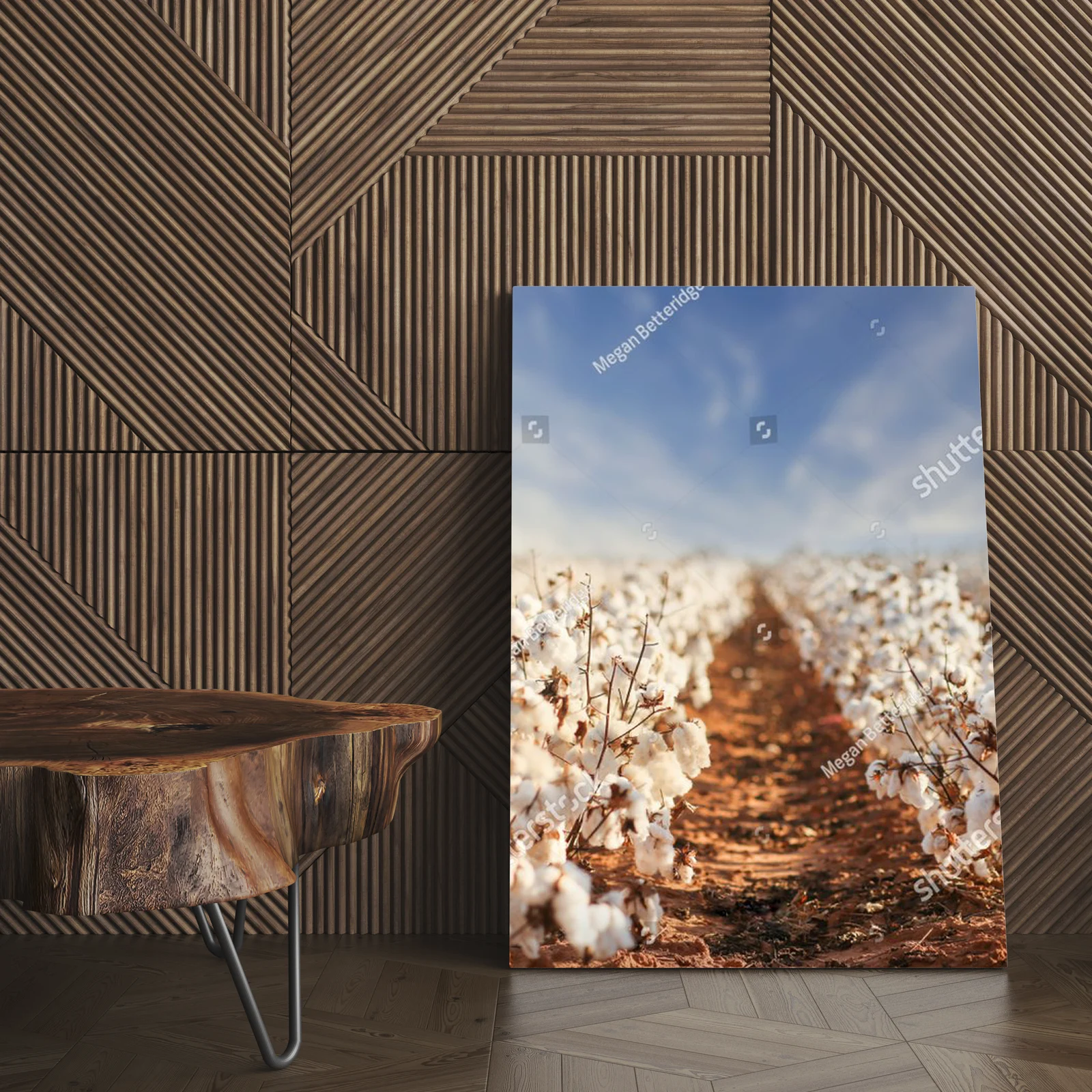 Cotton Fields: Esencja Zachodniego Teksasu