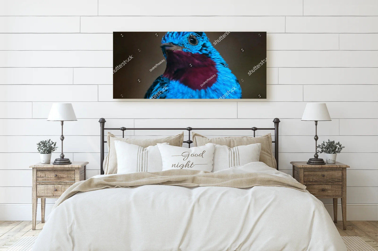 Tropikalna elegancja Cotinga w leśnej harmonii