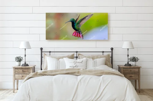 Wibracje tropikalnych motyli w pastelowych odcieniach