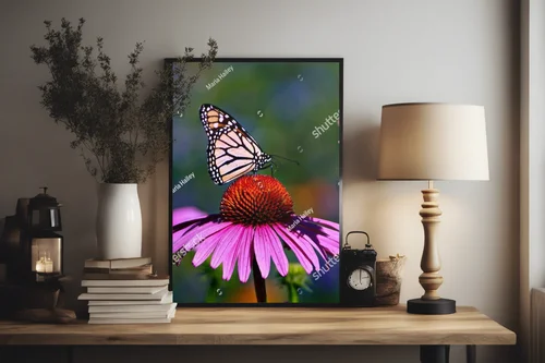 Bajeczny motyl monarszy na fioletowej koneflower