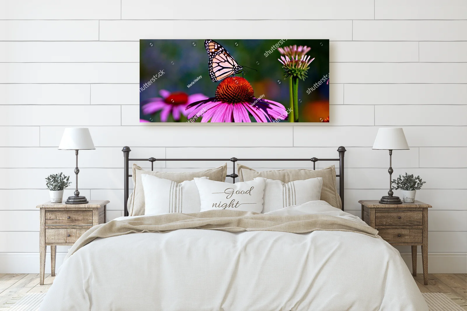Bajeczny motyl monarszy na fioletowej koneflower