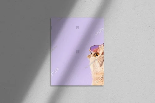 Zachwycający kot w okularach na purpurowym tle
