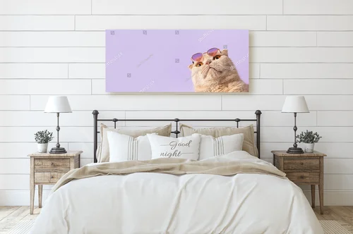 Zachwycający kot w okularach na purpurowym tle