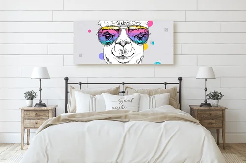 Funky alpaki w tęczowych okularach