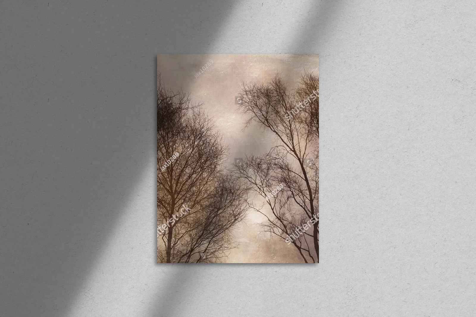 Misty Morning in the Enchanted Forest