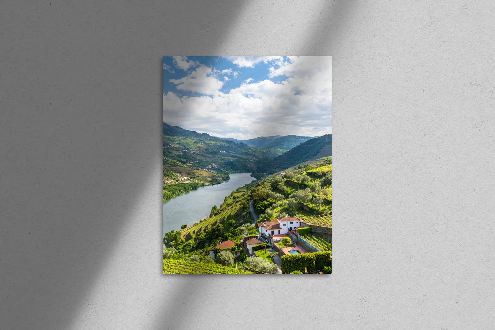 Malowniczy Krajobraz Dorzecza Douro - Portugał