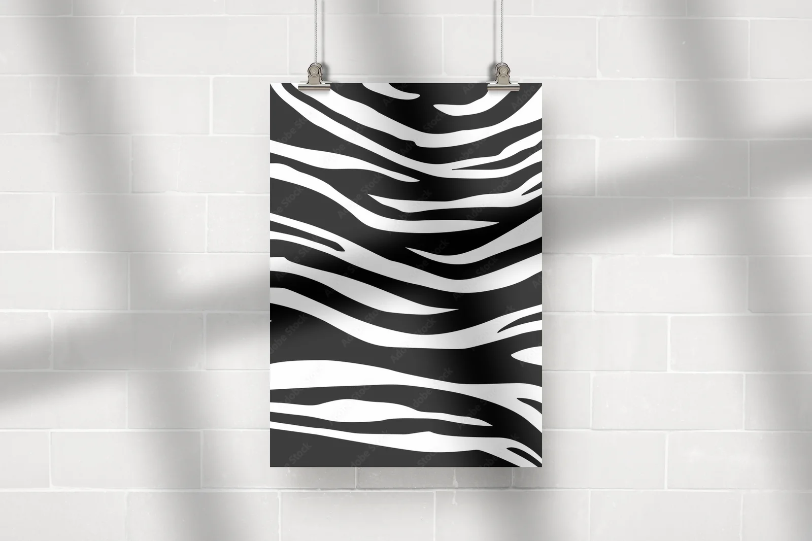 Zebra w czerni i bieli - gra kontrastów