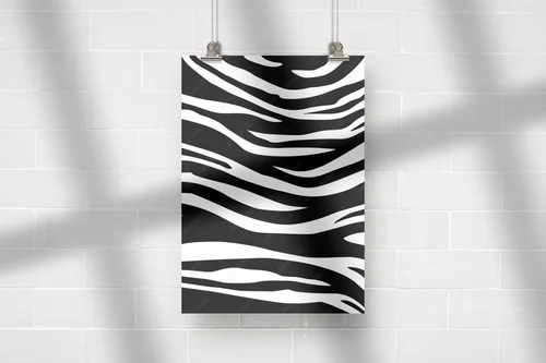 Zebra w czerni i bieli - gra kontrastów