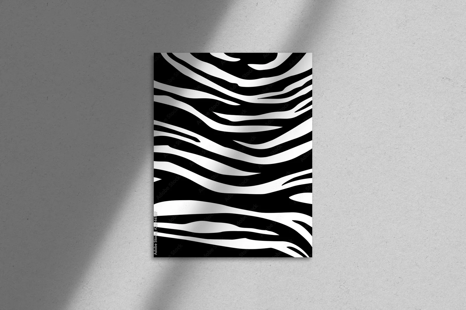 Zebra w czerni i bieli - gra kontrastów