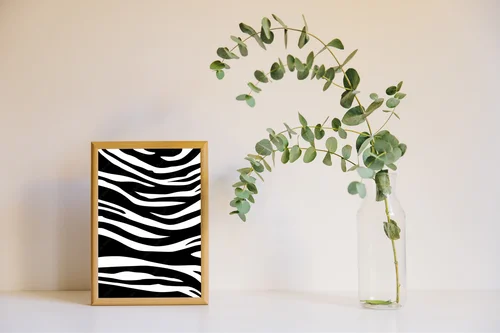 Zebra w czerni i bieli - gra kontrastów