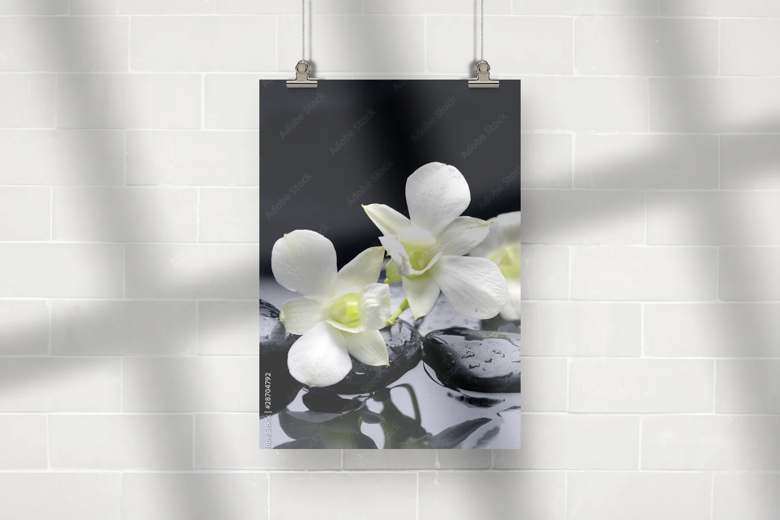 Zjawiskowa harmonia orchidei w delikatnych odcieniach