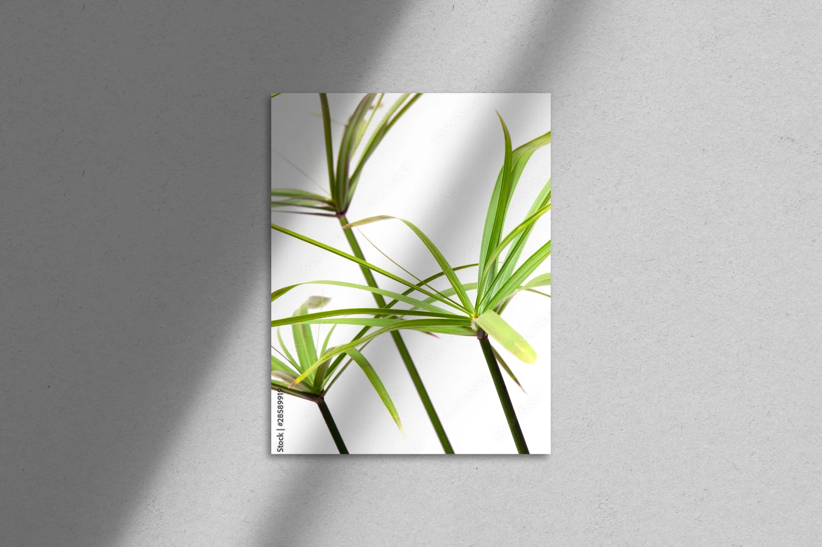 Naturalna elegancja w harmonijnych odcieniach bieli