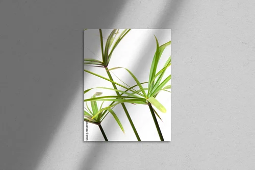 Naturalna elegancja w harmonijnych odcieniach bieli