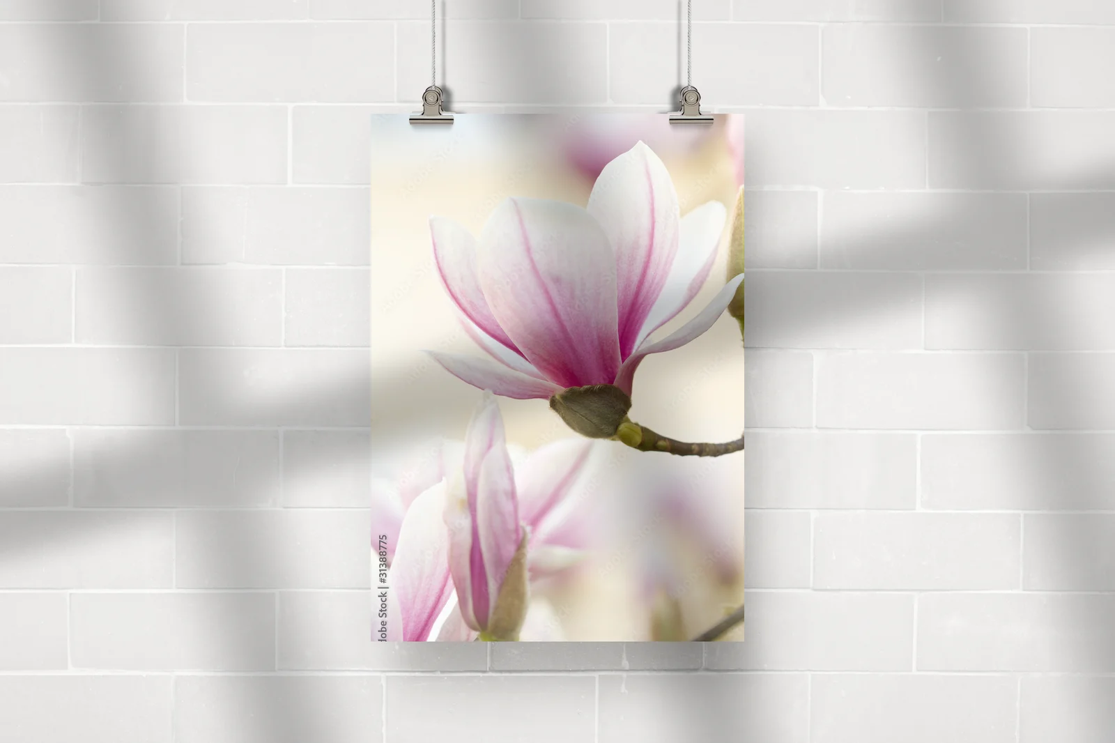 Elegancka atmosfera magnolii w stonowanych barwach