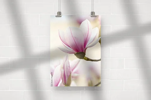 Elegancka atmosfera magnolii w stonowanych barwach