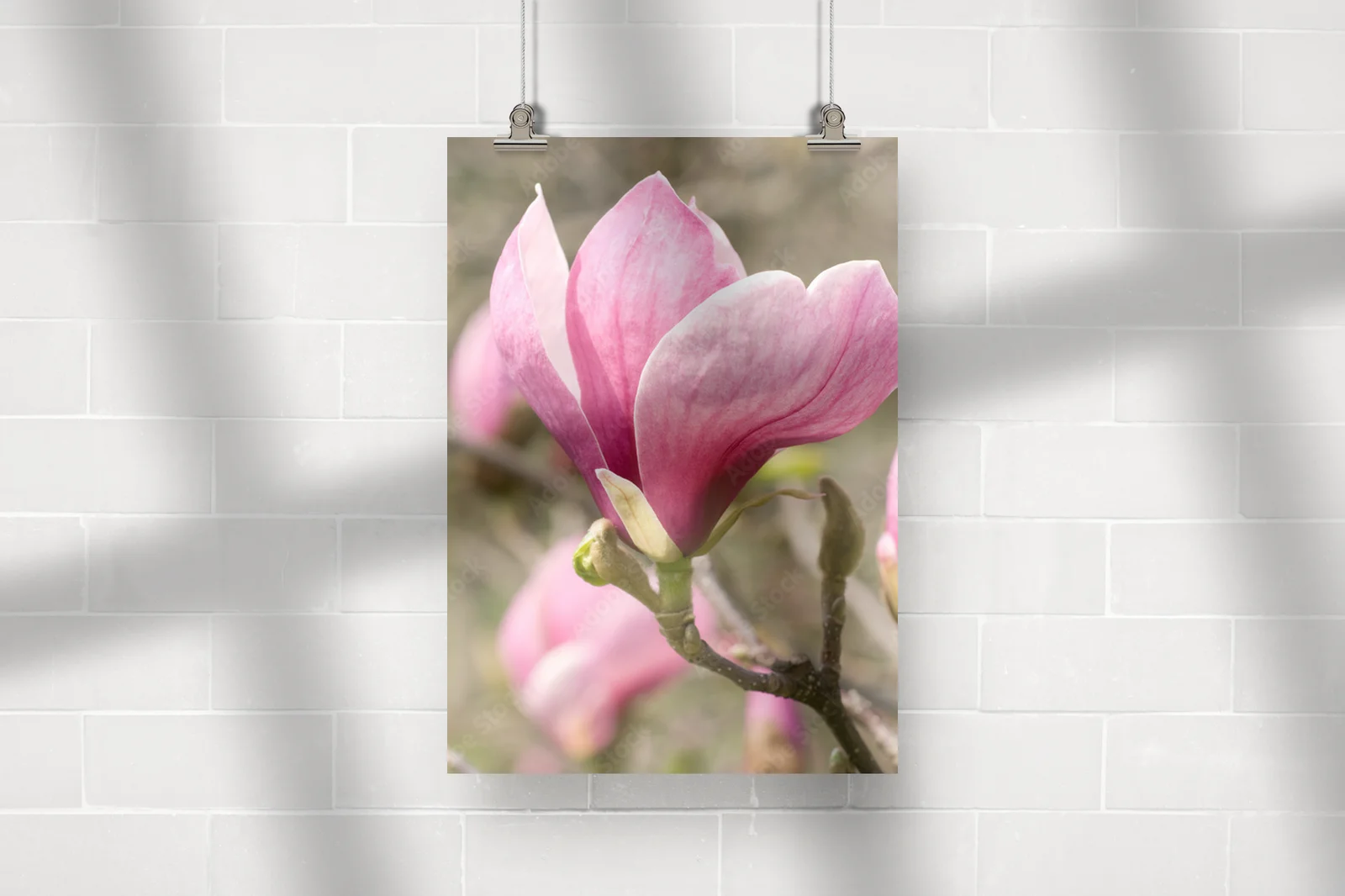 Elegancka magnolia w ciepłych odcieniach