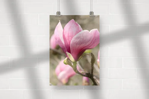 Elegancka magnolia w ciepłych odcieniach